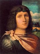 Palma Vecchio Portrait of a Young Man af oil painting